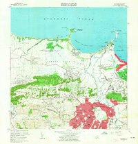 1963 Map of Bayamon, 1965 Print