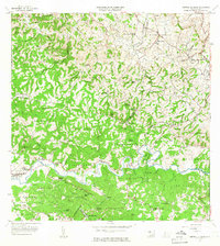 Download a high-resolution, GPS-compatible USGS topo map for Central La Plata, PR (1966 edition)