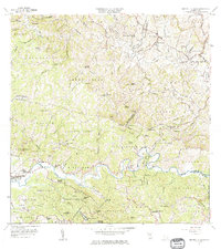 Download a high-resolution, GPS-compatible USGS topo map for Central La Plata, PR (1975 edition)