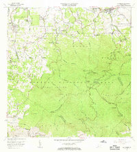 preview thumbnail of historical topo map of Río Grande County, PR in 1967