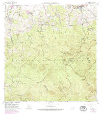 Download a high-resolution, GPS-compatible USGS topo map for El Yunque, PR (1982 edition)