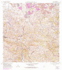 1969 Map of Naranjito, PR, 1988 Print