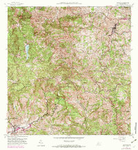 Download a high-resolution, GPS-compatible USGS topo map for Orocovis, PR (1982 edition)