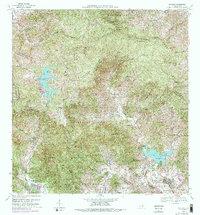 Download a high-resolution, GPS-compatible USGS topo map for Patillas, PR (1989 edition)