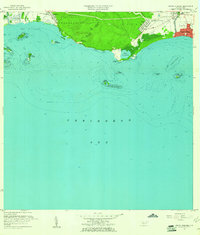 Download a high-resolution, GPS-compatible USGS topo map for Punta Cucharas, PR (1961 edition)