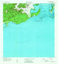 Download a high-resolution, GPS-compatible USGS topo map for Punta Verraco, PR (1960 edition)