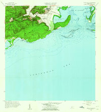 preview thumbnail of historical topo map of Guayanilla County, PR in 1958
