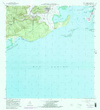 preview thumbnail of historical topo map of Guayanilla County, PR in 1966