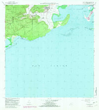 Download a high-resolution, GPS-compatible USGS topo map for Punta Verraco, PR (1982 edition)