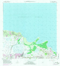 preview thumbnail of historical topo map of Río Grande County, PR in 1963