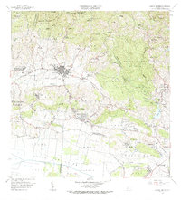 preview thumbnail of historical topo map of Sabana Grande, PR in 1966