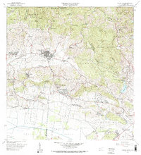 preview thumbnail of historical topo map of Sabana Grande, PR in 1966