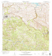 Download a high-resolution, GPS-compatible USGS topo map for San Sebastian, PR (1968 edition)