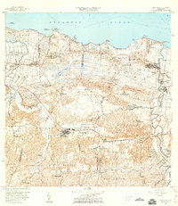 1958 Map of Vega Alta, 1960 Print
