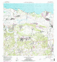 1969 Map of Vega Alta, 1989 Print
