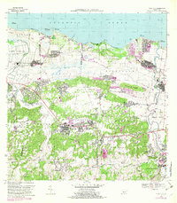 1969 Map of Vega Alta, 1983 Print