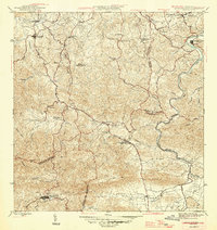 1946 Map of Aguas Buenas