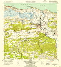 1953 Map of Barceloneta, PR, 1954 Print