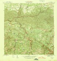 preview thumbnail of historical topo map of Florida, PR in 1946