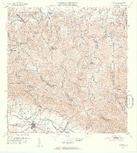 1952 Map of Gurabo, 1953 Print
