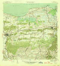 preview thumbnail of historical topo map of Manatí County, PR in 1946