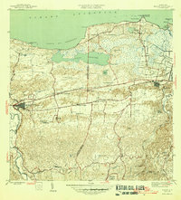 1946 Map of Vega Baja County, PR