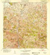1952 Map of Naranjito, PR, 1953 Print