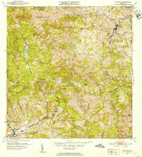 Download a high-resolution, GPS-compatible USGS topo map for Orocovis, PR (1953 edition)