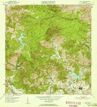 1952 Map of Patillas, PR, 1953 Print