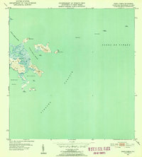 Download a high-resolution, GPS-compatible USGS topo map for Punta Puerca, PR (1953 edition)
