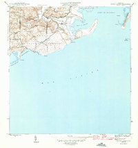 Download a high-resolution, GPS-compatible USGS topo map for Punta Verraco, PR (1946 edition)