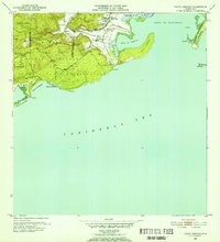 Download a high-resolution, GPS-compatible USGS topo map for Punta Verraco, PR (1953 edition)