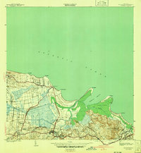 preview thumbnail of historical topo map of Río Grande County, PR in 1941