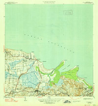 Download a high-resolution, GPS-compatible USGS topo map for Rio Grande, PR (1947 edition)