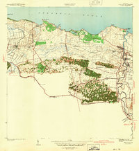 1940 Map of Vega Alta