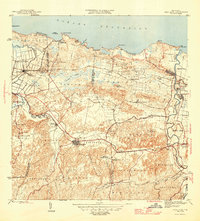 1946 Map of Vega Alta