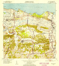 1953 Map of Vega Alta, 1954 Print