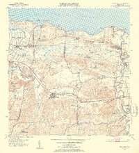 1953 Map of Vega Alta, 1954 Print
