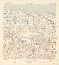 1946 Map of Vega Alta
