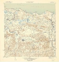 1946 Map of Vega Alta