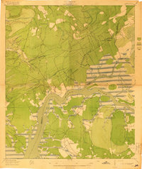 Download a high-resolution, GPS-compatible USGS topo map for Wando, SC (1919 edition)