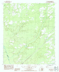 Download a high-resolution, GPS-compatible USGS topo map for Black Creek, SC (1988 edition)
