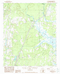 Download a high-resolution, GPS-compatible USGS topo map for Coosawhatchie, SC (1988 edition)