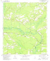 Download a high-resolution, GPS-compatible USGS topo map for Maple Cane Swamp, SC (1980 edition)