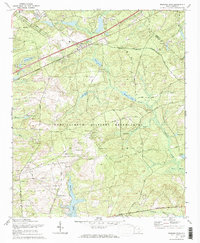 Download a high-resolution, GPS-compatible USGS topo map for Messers Pond, SC (1973 edition)