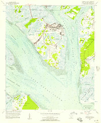 preview thumbnail of historical topo map of Beaufort County, SC in 1956