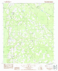 preview thumbnail of historical topo map of Colleton County, SC in 1988
