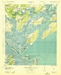 preview thumbnail of historical topo map of Bluffton, SC in 1945