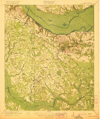 preview thumbnail of historical topo map of Eutawville, SC in 1921