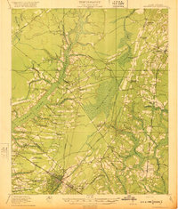 preview thumbnail of historical topo map of Summerville, SC in 1920